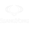 ssangyong_white