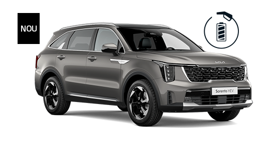 208 sorento hev my26